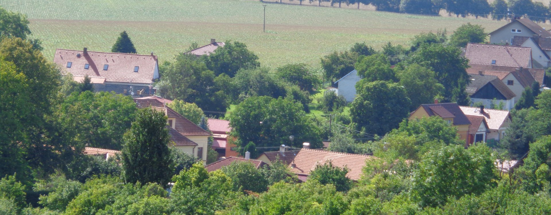 Měnič obrázků - fotografie