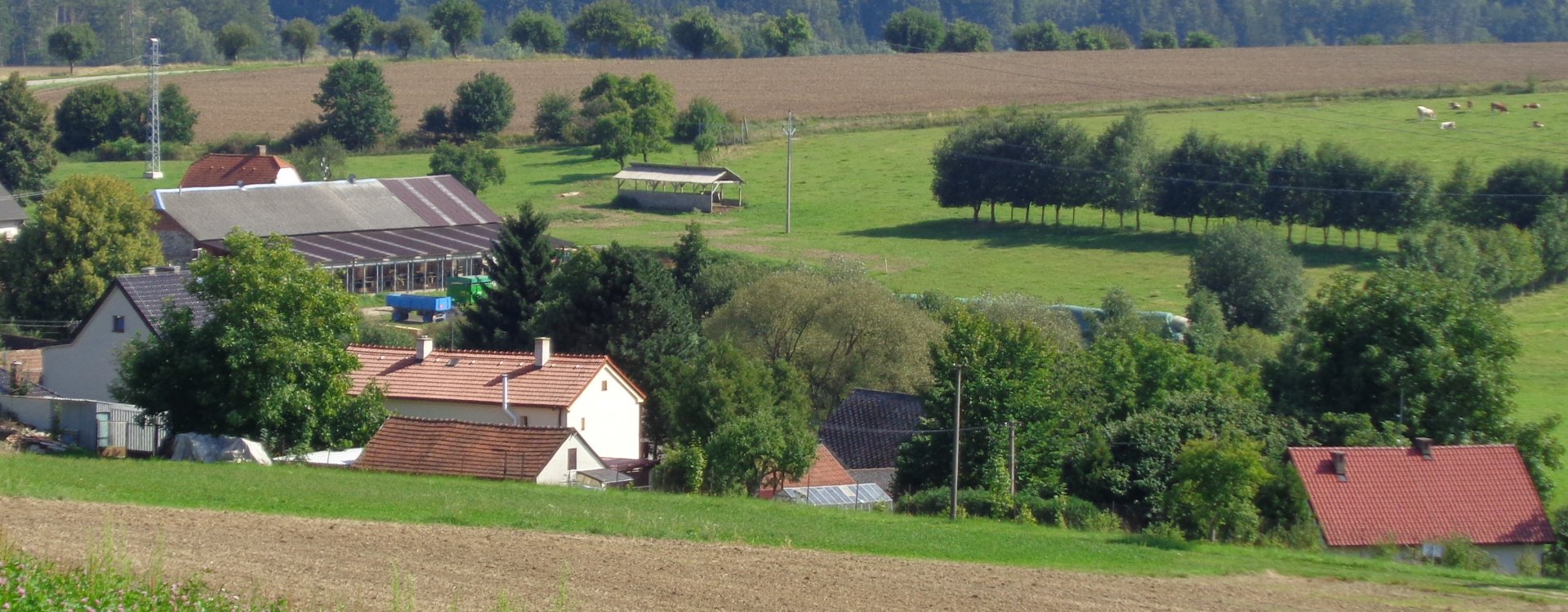 Měnič obrázků - fotografie