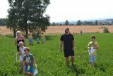 Pohádková cesta Pořín - foto č. 7